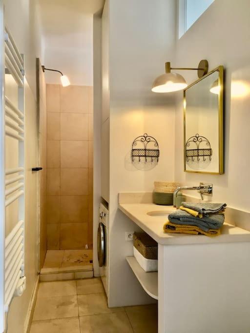 Coeur Du Centre Ville Avec Balcon L'Isle-sur-la-Sorgue Ngoại thất bức ảnh